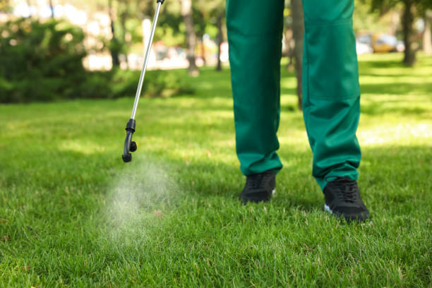 Best Local Pest Control Services  in Midlothian, VA
