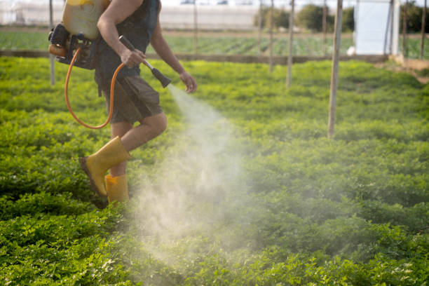 Best Mosquito Control Services  in Midlothian, VA