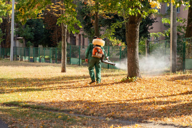 Best Pest Prevention Services  in Midlothian, VA