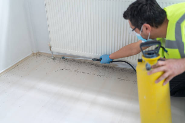 Best Pest Control Near Me  in Midlothian, VA
